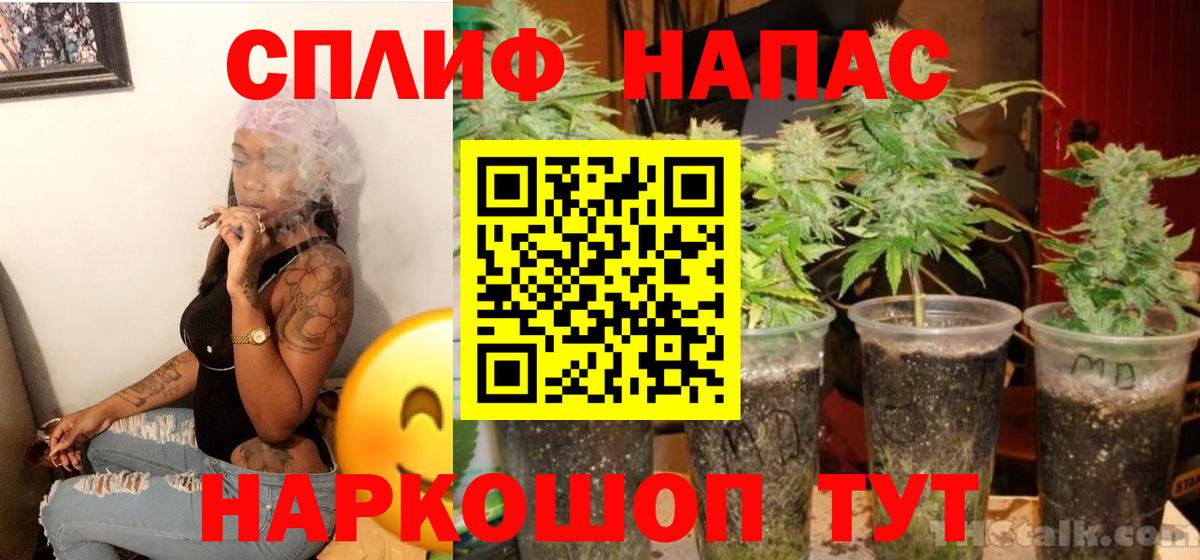Бошки марихуана сатива Богданович